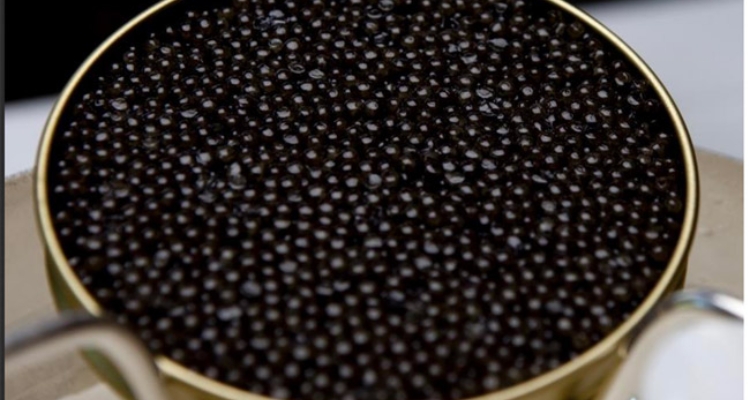 caviar-eumofa