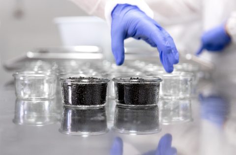Caviar de Riofrío en sala de procesado