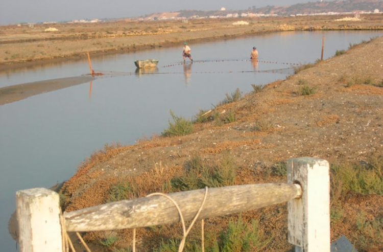 chiclana-estero-despesque