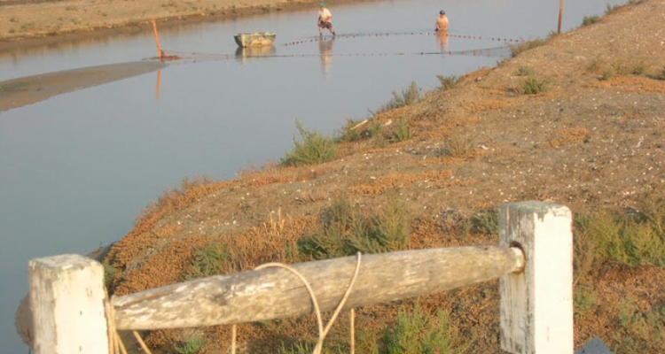 chiclana-estero-despesque