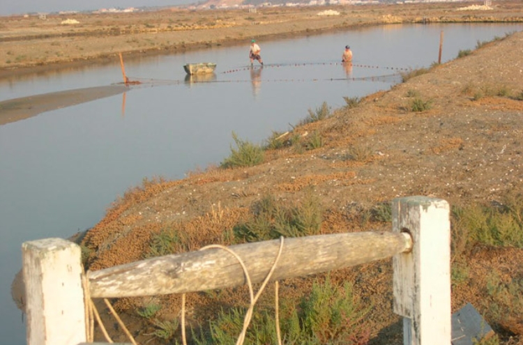 chiclana-estero-despesque