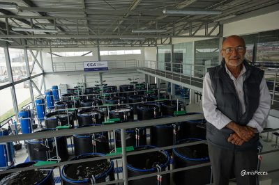 Universidad peruana Científica del Sur inaugura nuevo Centro Experimental para el estudio del langostino