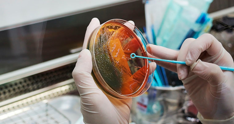 cientifico-bacterias-760