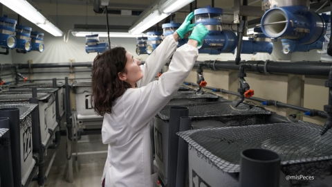 CIIMAR-UP, instalaciones BOGA en Matosinhos