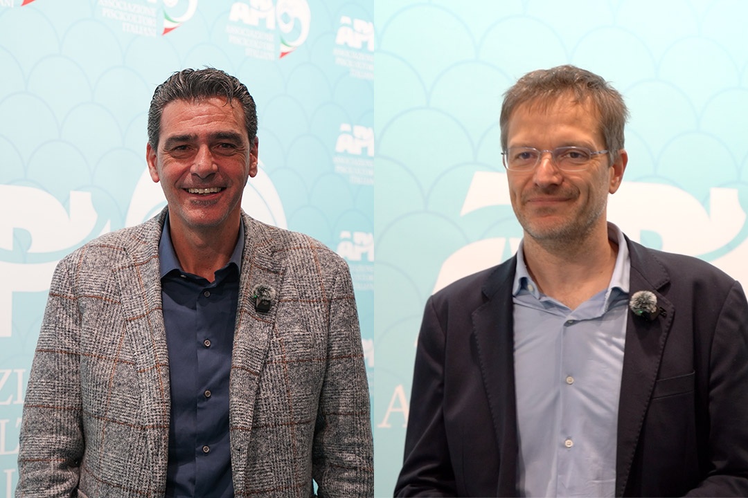 Claudio Pedroni y Matteo Leonardi - API