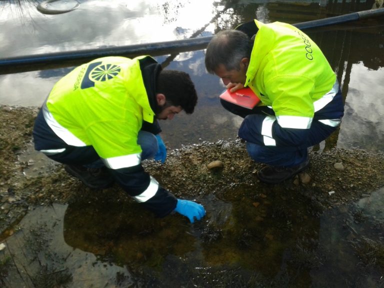 Tomando muestras de microalgas en COGERSA (Asturias)