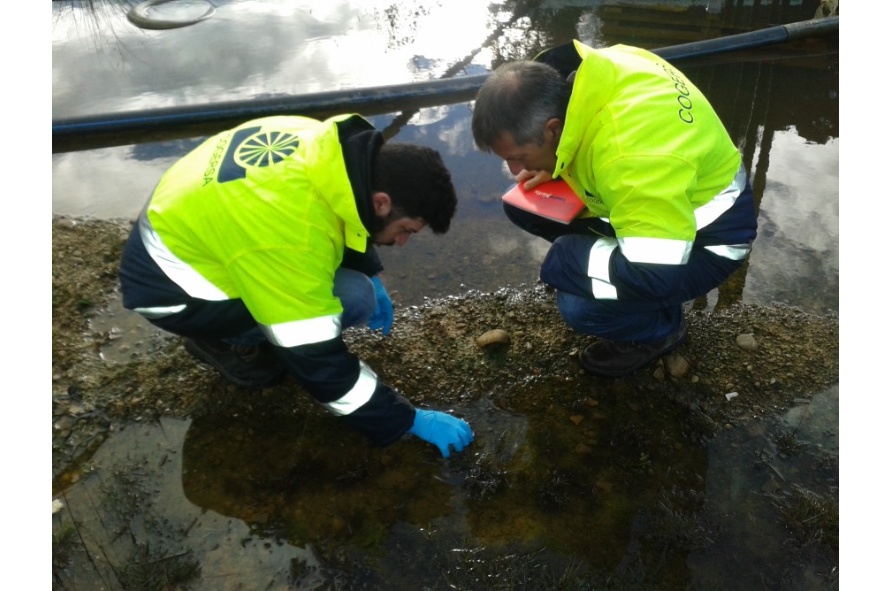 Tomando muestras de microalgas en COGERSA (Asturias) Tomando muestras de microalgas en COGERSA (Asturias)