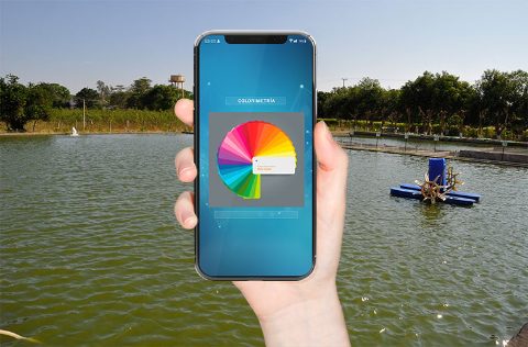 Fotomontaje colorimetría granja langostinos sudamérica