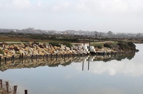 Compuesta de estero en San Fernando