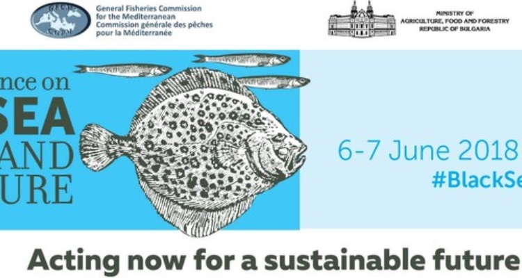Conferencia de Alto Nivel de la FAO sobre Pesca y Acuicultura en el Mar Negro