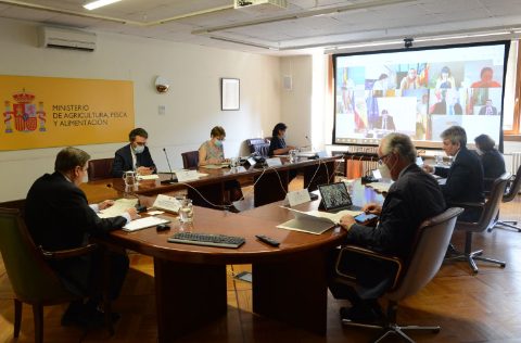 Conferencia Sectorial de Pesca, julio 2021