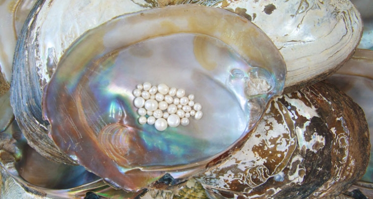 conjunto-perlas-760