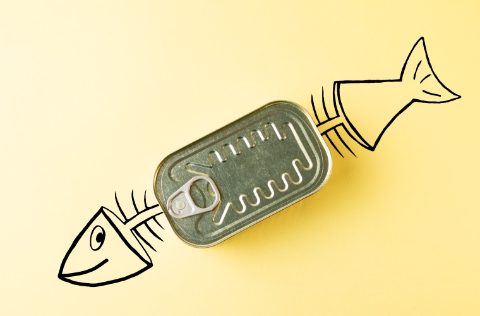 Conserva de pescado y pez