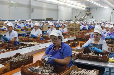 Trabajo en conservas de pescado en Andalucía