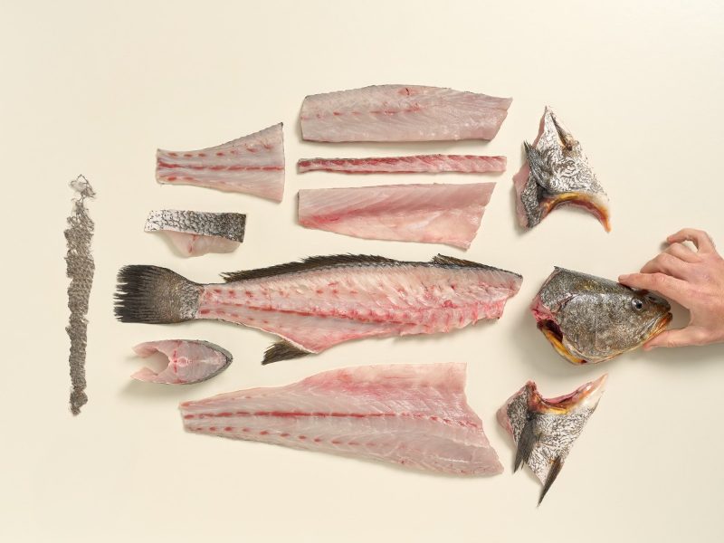 AVRAMAR lleva la producción de corvina de 200 a más de 5.000 toneladas y refuerza su apuesta por la restauración