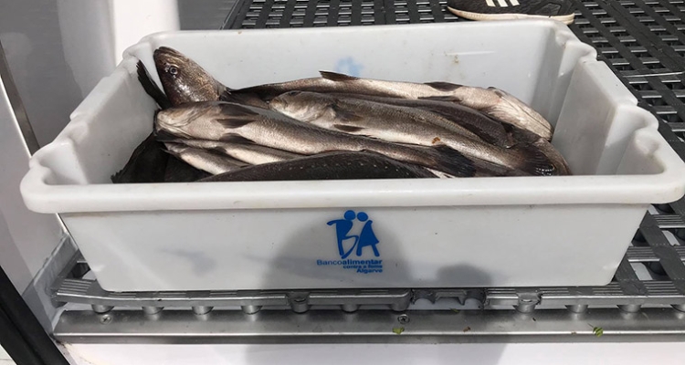Corvinas EPPO donadas a colectivos desfavorecidos