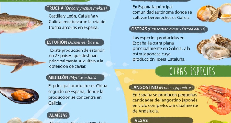 criado-ue-infografia criado-ue-infografia