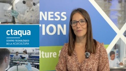 CTAQUA pone a disposición del sector modelos de infección de dos patógenos emergentes en acuicultura