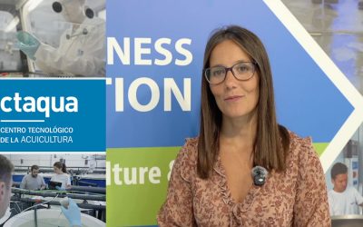Modelos de infección: una herramienta clave para la acuicultura sostenible