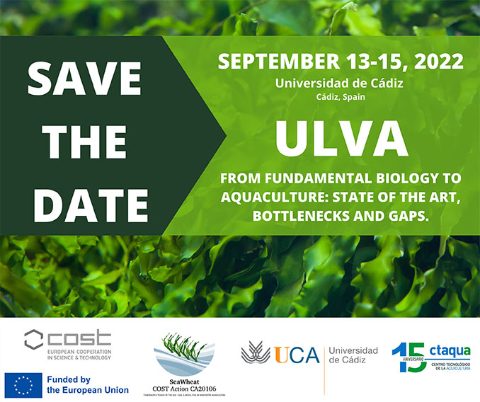 CTAQUA conferencia 13 -15 septiembre algas. Save the date