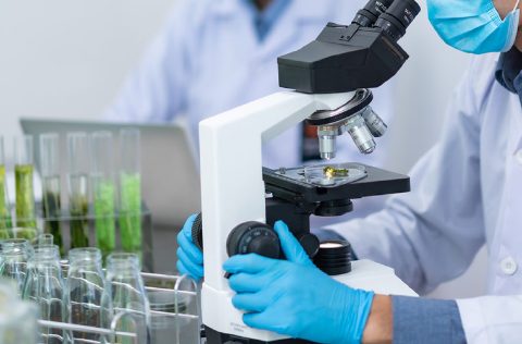 CTAQUA microscópio microalgas