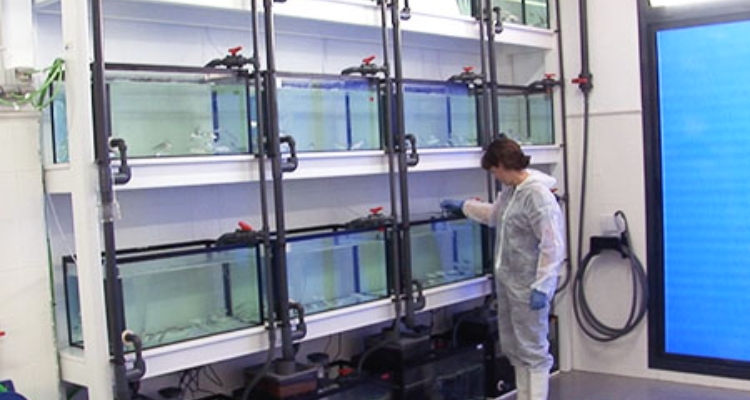 ctaqua-laboratorio-experimental