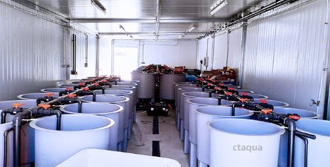 CTAQUA, sala patología
