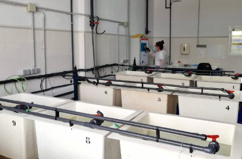CTAQUA, sala de patología automatizada