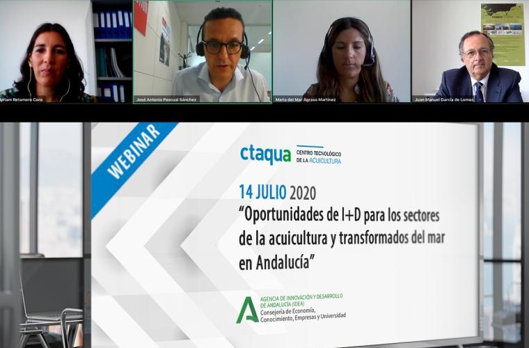 CTAQUA webinar ayudas Agencia IDEA CTAQUA webinar ayudas Agencia IDEA