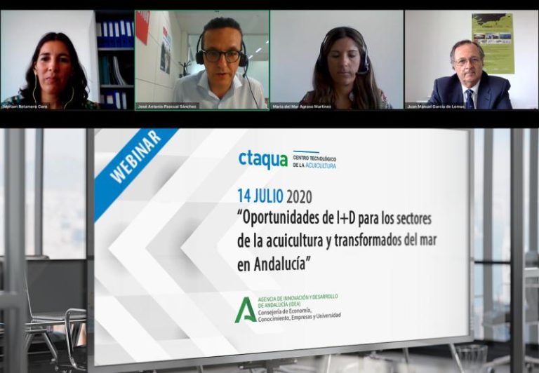 CTAQUA webinar ayudas Agencia IDEA