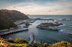 Asturias actualiza su normativa sobre el saneamiento ganadero y acuícola para erradicación de enfermedades
