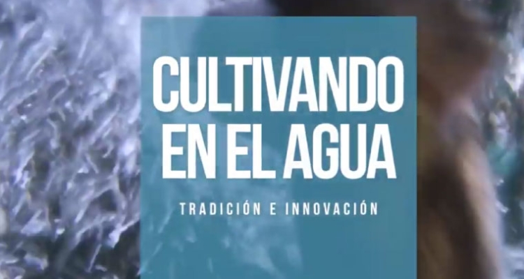 carátula Cultivando en el Agua carátula Cultivando en el Agua