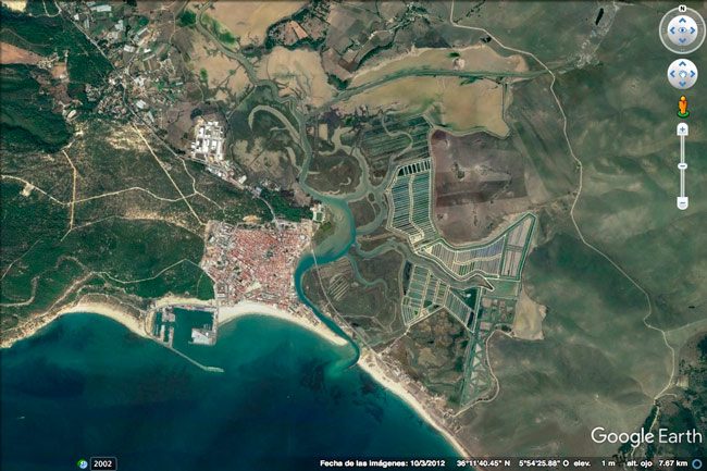 La producción declarada de Delta Andalucía aumentó un 47% en 2025, hasta 259,6 toneladas