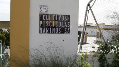 CUPIMAR celebra su 35 aniversario rejuvenecida por los éxitos con el lenguado