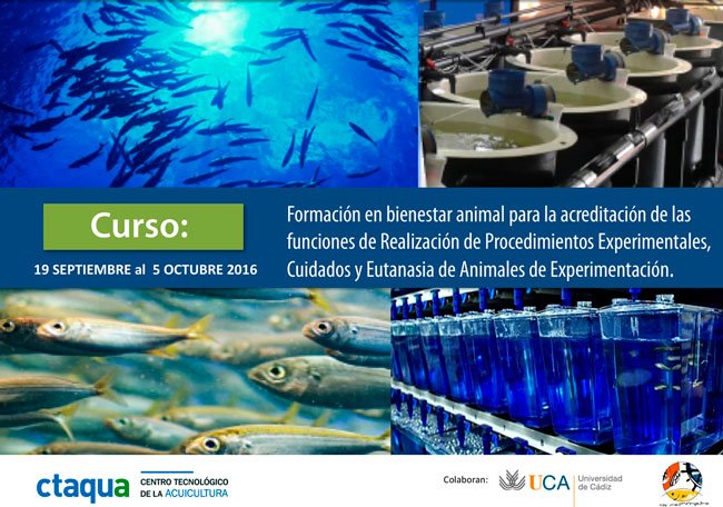 curso-bienestar-animal2016-RS