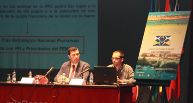 dani-acosta-cartaya2014
