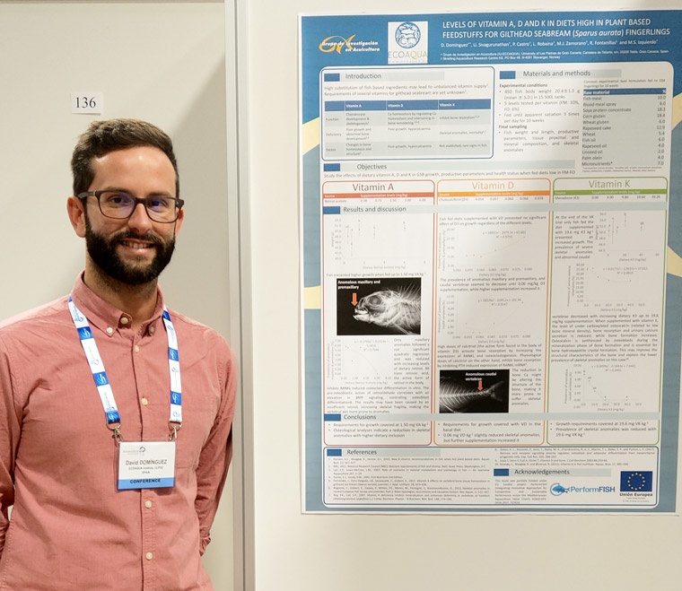 david-dominguez-premio-mejor-poster-ae19ber-760 david-dominguez-premio-mejor-poster-ae19ber-760