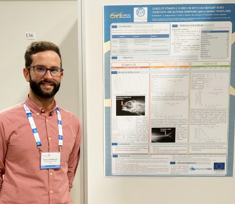 david-dominguez-premio-mejor-poster-ae19ber-760