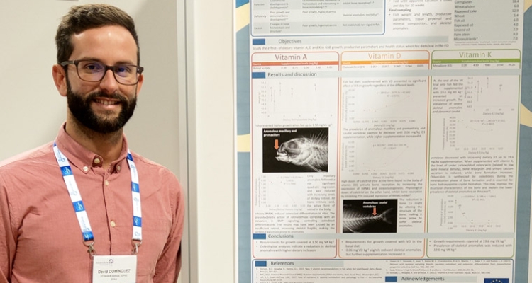 david-dominguez-premio-mejor-poster-ae19ber-760 david-dominguez-premio-mejor-poster-ae19ber-760