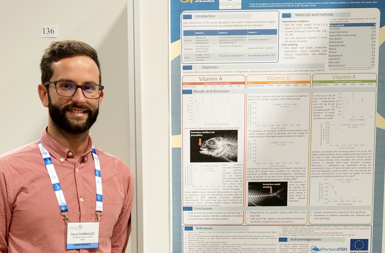 david-dominguez-premio-mejor-poster-ae19ber-760 david-dominguez-premio-mejor-poster-ae19ber-760