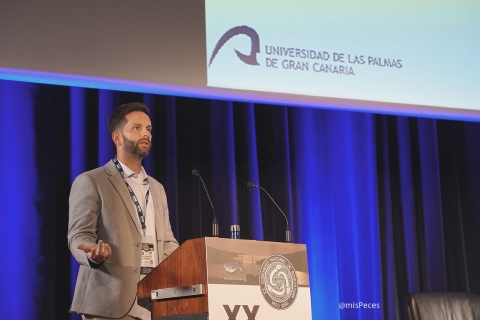 David Domínguez | ULPGC