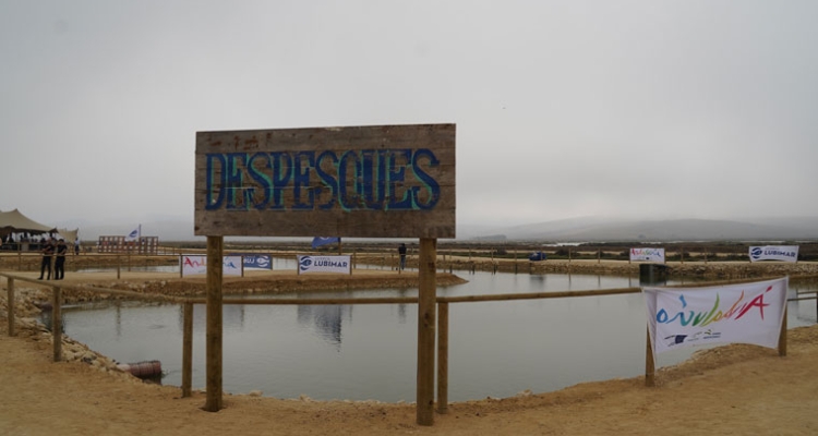 despesque-2019-cartel-760 despesque-2019-cartel-760