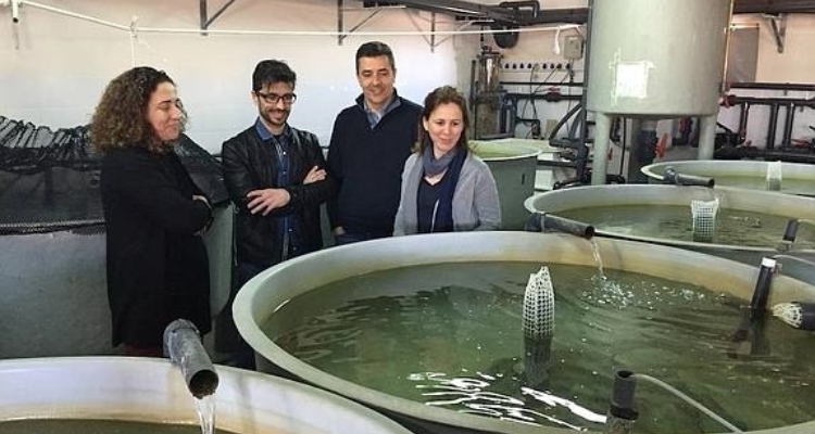 dg-innovacion-murcia-juana-mulero