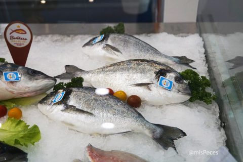 Dorada Crianza de Nuestros Mares /@misPeces