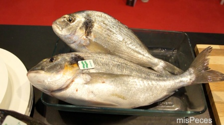 dorada-estero-seafood