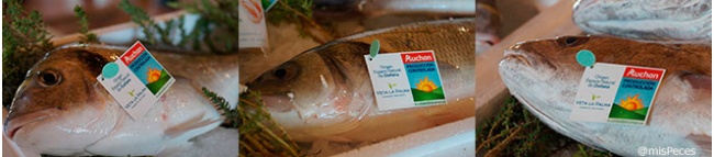 dorada-lubina-corvina-islasur-auchan