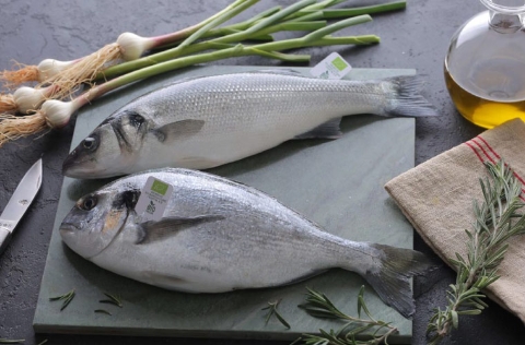 Doradas y lubinas ecológicas de Kefalonia Fisheries