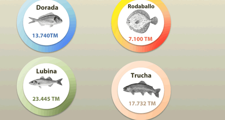 dorada-lubina-rodaballo-trucha-2016