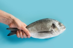 Se aleja la posibilidad de un IVA superreducido para el pescado y marisco