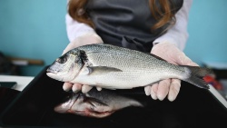 Precios de la dorada confirman un cambio de ciclo con menos producto y precios más altos